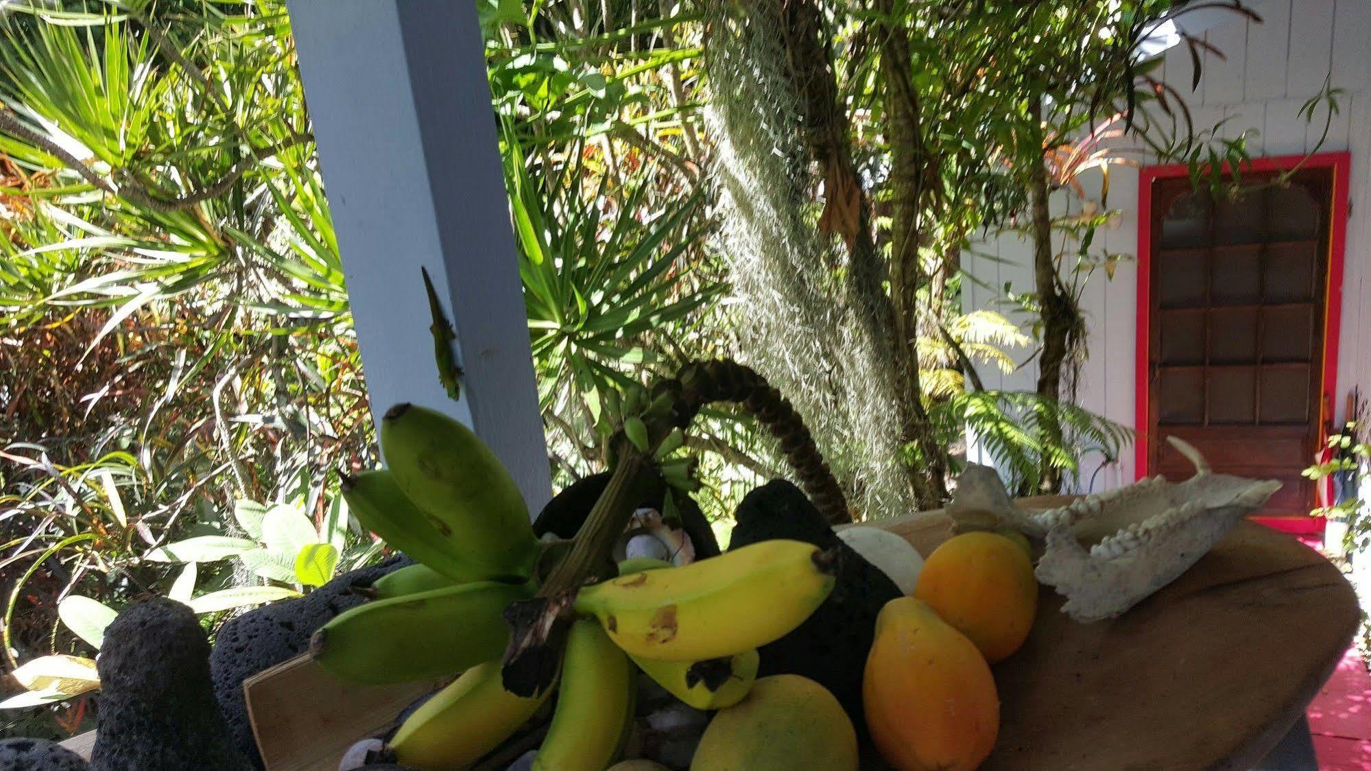 Ma'Ukele Lodge Pahoa Esterno foto